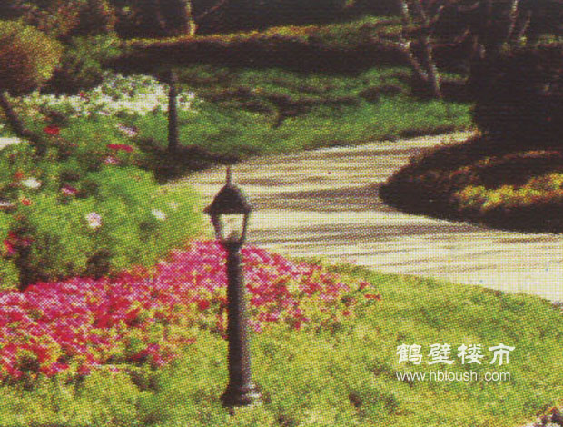 河南楼市网